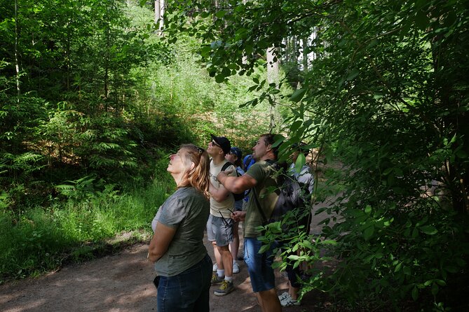 3 in 1 Tour Brewery & Castle in Bohemian Paradise Unesco Geopark - Why this Prague day trip works so well