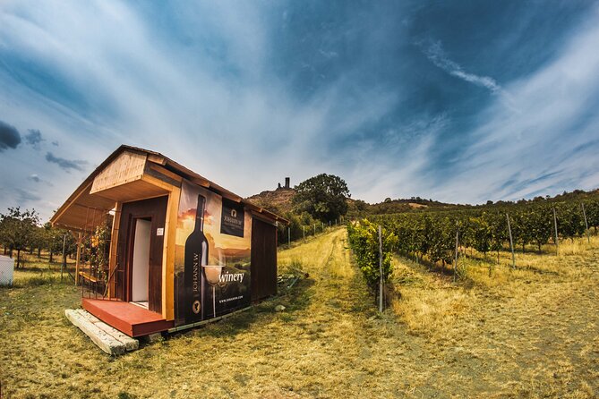 A delightful wine tasting in the scenic countryside with lunch - Lunch in a Czech countryside restaurant