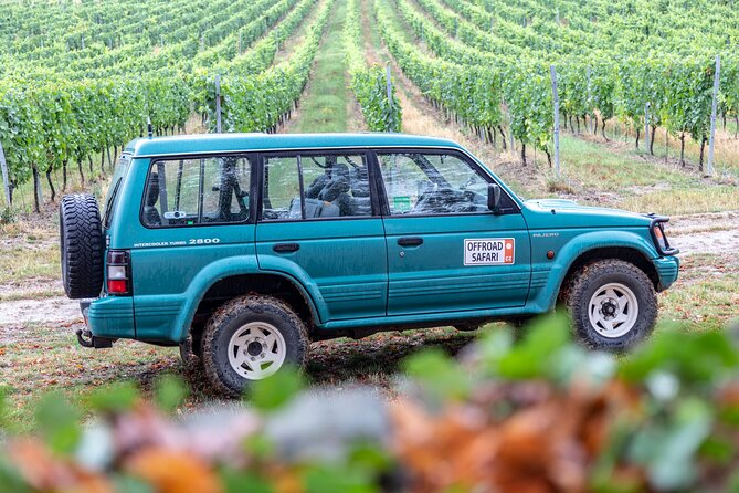 A delightful wine tasting in the scenic countryside with lunch - Guides who shape the day