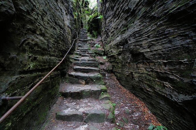 Bohemian Switzerland From Prague with Brewery Tour & Beer Tasting - Czech lunch with a real choice of dishes