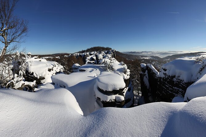 Bohemian Switzerland From Prague with Brewery Tour & Beer Tasting - Who should book this full-day outing?