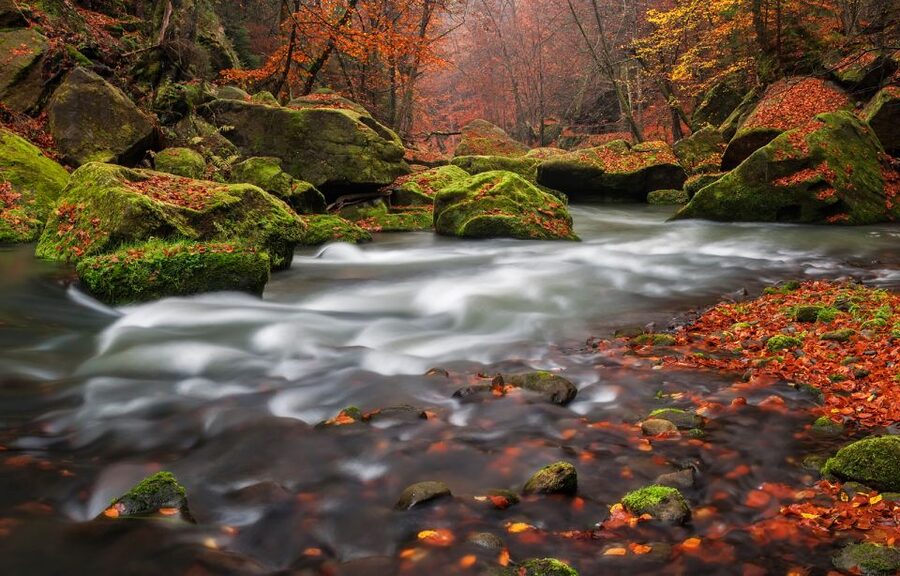 Bohemian Switzerland: Private Day Trip from Prague - Key points to know before booking