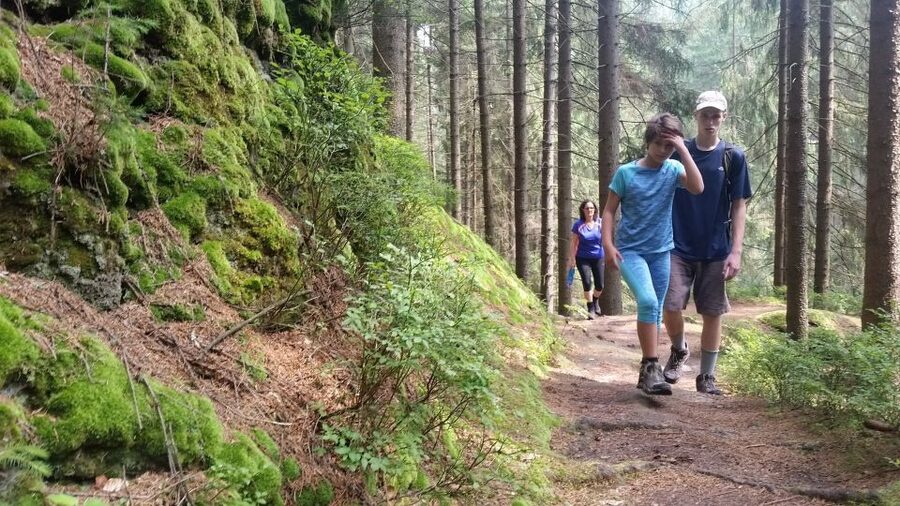 Bohemian Switzerland: Private Day Trip from Prague - Reaching Pravčická Brána