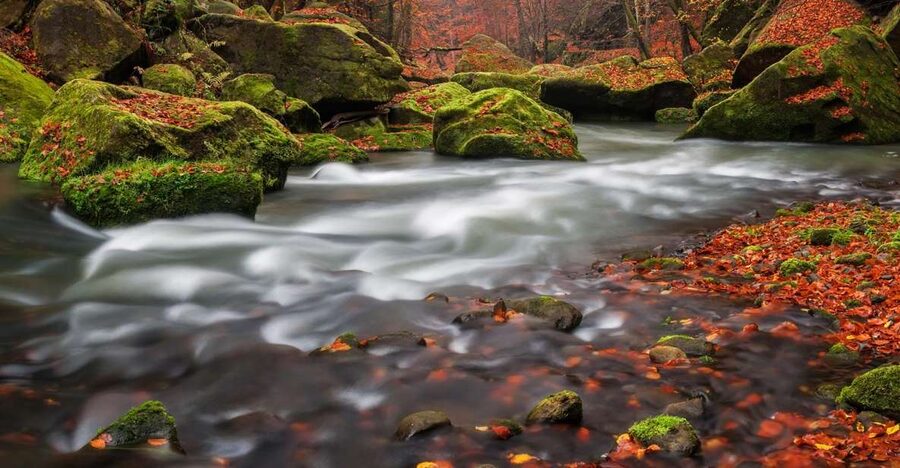 Bohemian Switzerland: Private Day Trip from Prague - Timing, seasons, and what to bring