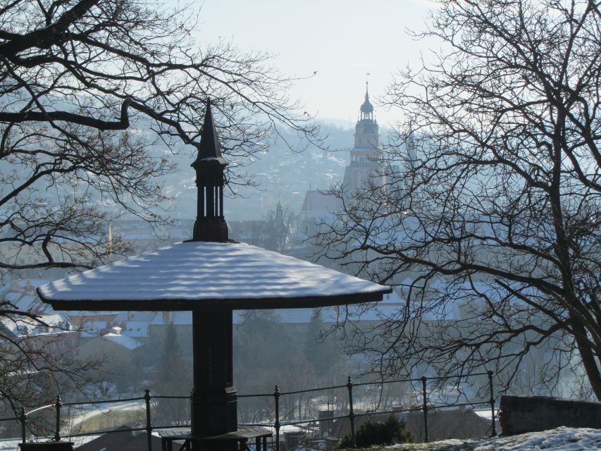 Český Krumlov: 2 Hour Private Walking Tour with Guide - The Castle Courtyards, Cloak Bridge, and Bear Moat