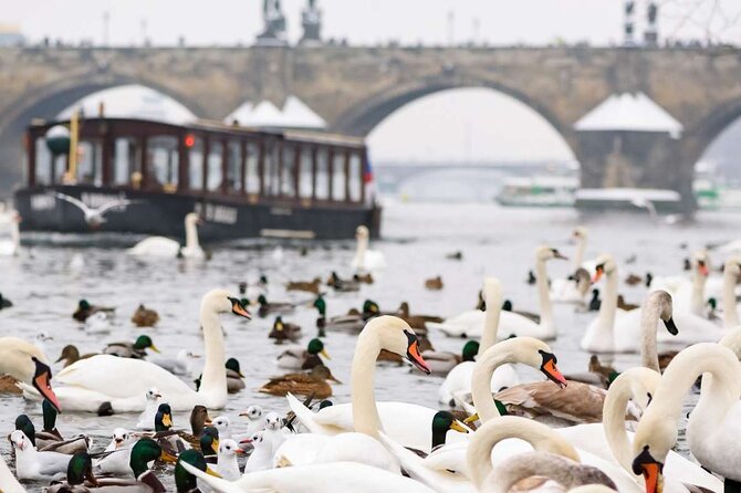 Charles Bridge: River Boat Cruise & Guided Tour ️with PragueWay - Entering Devil’s Channel