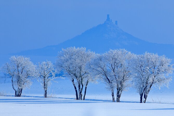 Cozy Winter Countryside Tour 4x4: Experience Authentic Bohemia - Johann W Winery and vineyards below a Gothic castle