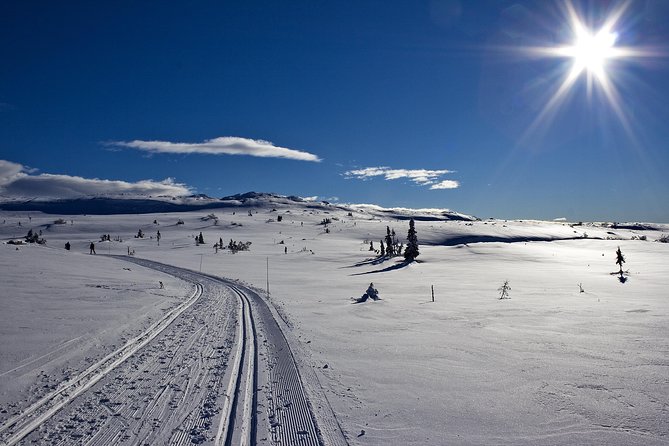 Cross-Country Skiing Guided Tour From Prague - Leaving Prague at 7:30 am for the Jizera Mountains