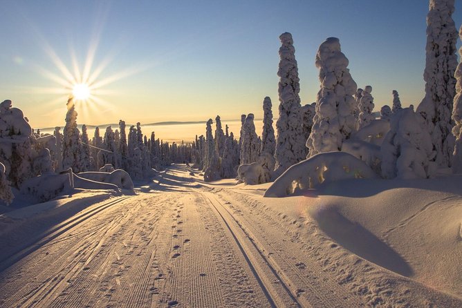 Cross-Country Skiing Guided Tour From Prague - Five hours through forests, lake country, and groomed tracks