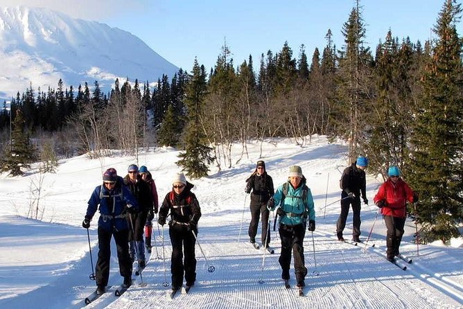 Cross-Country Skiing Guided Tour From Prague - How the guide changes the day for beginners and families