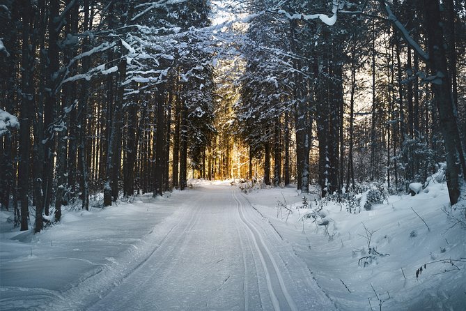 Cross-Country Skiing Guided Tour From Prague - Lunch in Liberec adds a welcome pause