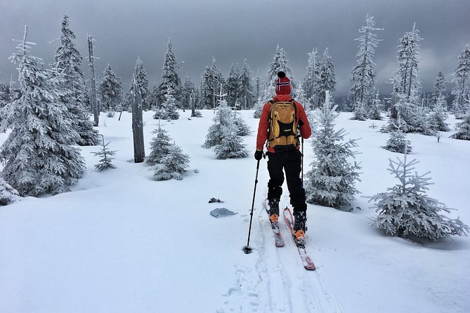 Cross-Country Skiing Guided Tour From Prague - Who will get the most from this ski day