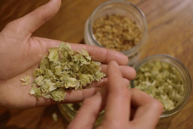 Czech Beer Tasting Experience - Cheese and crackers, with realistic expectations