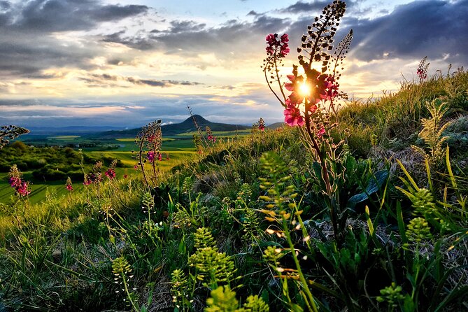 Czech garnet panning, scenic drive, farm & cheese, lunch & beer - What the $359.22 price includes
