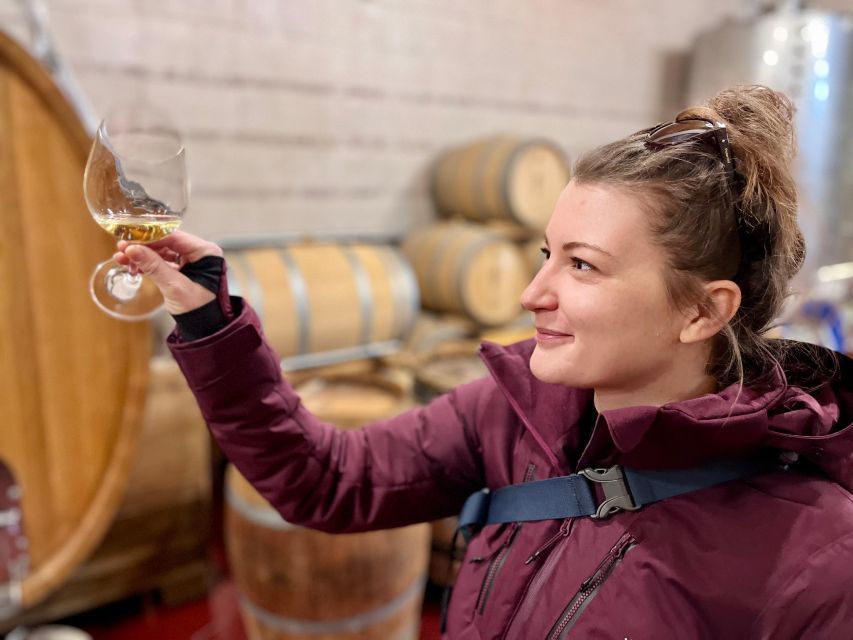 Czech Vineyards and Wine Tasting 4WD Tour with Lunch - Why Třebívlice makes a good escape from Prague