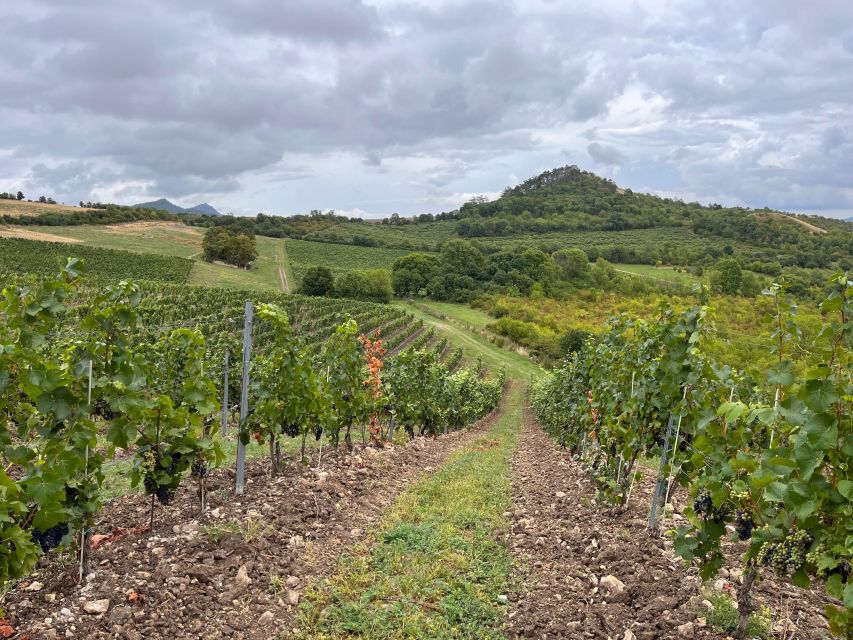 Czech Vineyards and Wine Tasting 4WD Tour with Lunch - The Goethe and Baroness Ulrike story