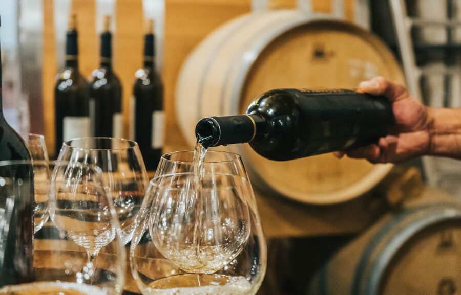 Czech Vineyards and Wine Tasting 4WD Tour with Lunch - Vineyards, basalt, and castle views