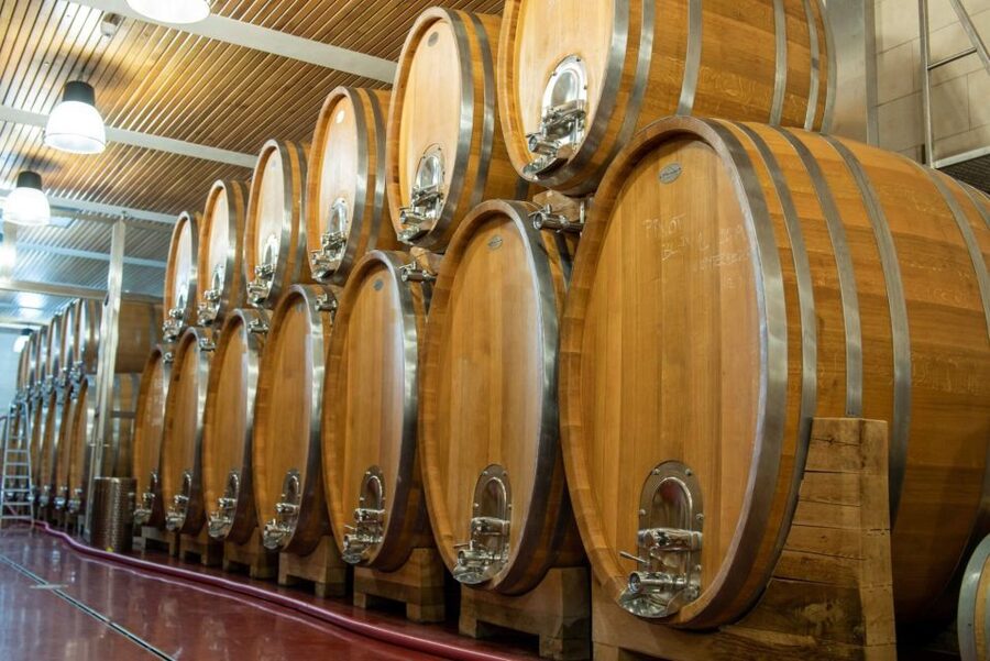 Czech Vineyards and Wine Tasting 4WD Tour with Lunch - The Jewish cemetery among the vines