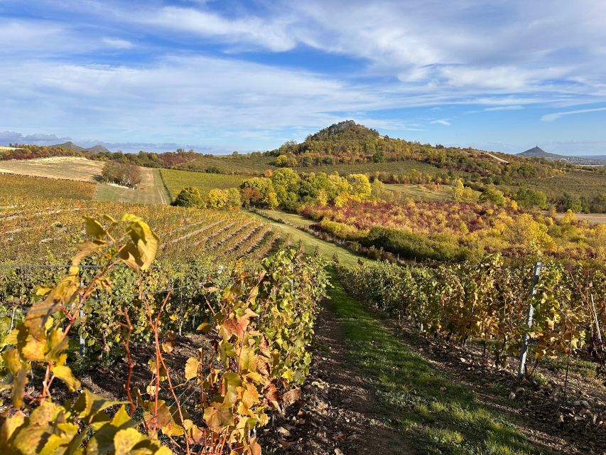 Czech Vineyards and Wine Tasting 4WD Tour with Lunch - A real Czech lunch, not just tasting-room snacks