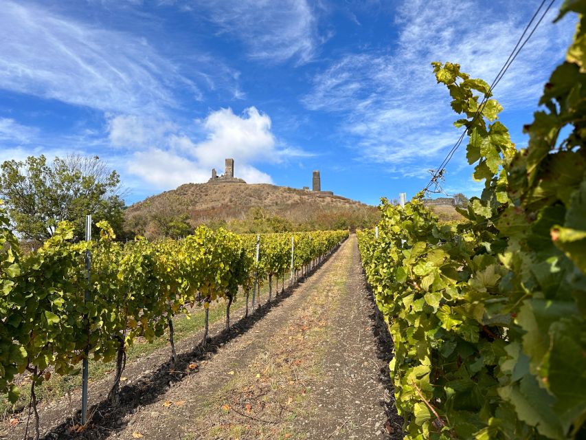 Czech Vineyards and Wine Tasting 4WD Tour with Lunch - What the guides add to the day
