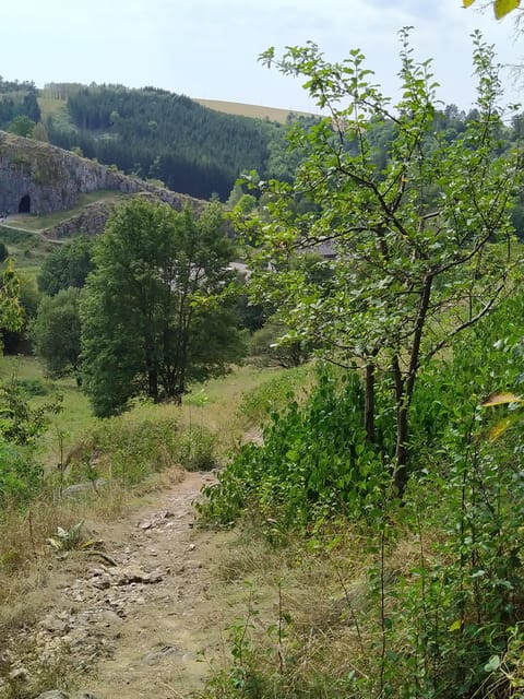 Discover Moravian Karst: Seven Stops, One Tailored Tour - Key points about this Moravian Karst tour