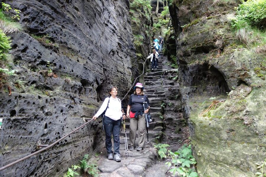 From Prague: Bohemian & Saxon Switzerland All-Inclusive Tour - Why the eight-person limit matters