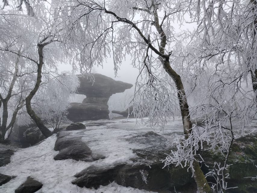 From Prague: Bohemian & Saxon Switzerland Iconic Day Trip - Winter or warmer-season visit?