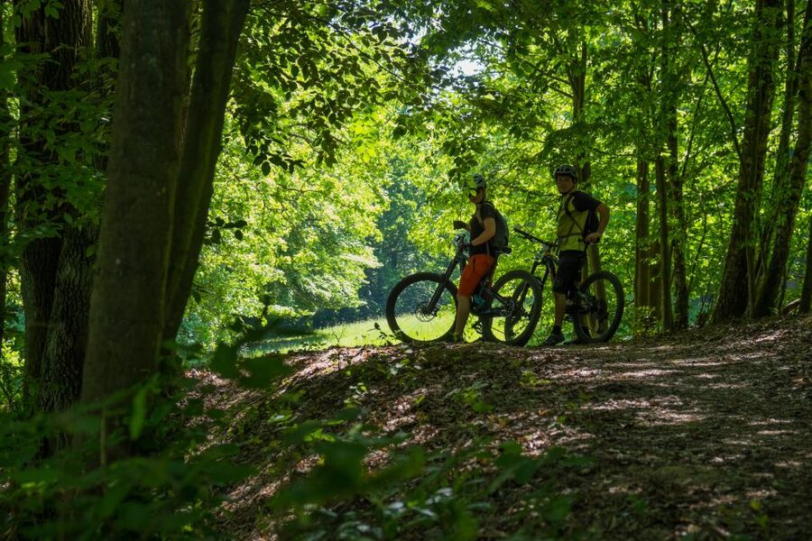 From Prague: E-Mountain Biking Trip to the Bohemian Paradise - The Hruboskalsko ridge is the big reward