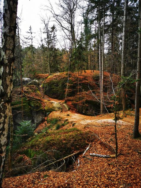 From Prague: Full-Day Bohemian Paradise Guided Hiking Trip - A full day in Bohemian Paradise, not a quick photo stop