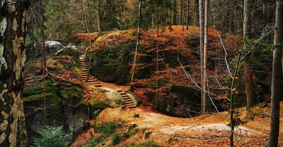 From Prague: Full-Day Bohemian Paradise Guided Hiking Trip - The climber cemetery tells a quieter story