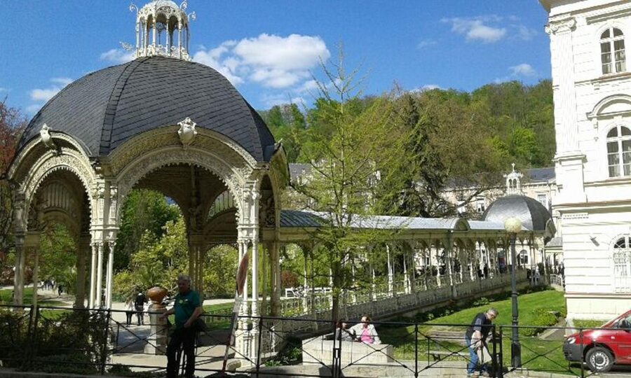 From Prague: Karlovy Vary Full-Day Tour - Guide and Transport Quality