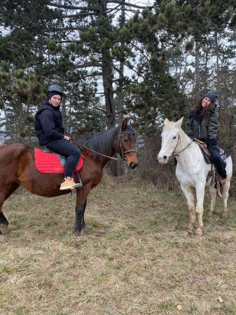 Horseback riding tour near Prague - Price, group size, and practical value