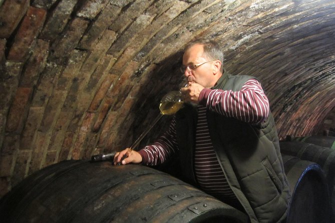 Moravian wine trails - Why Moravia makes a fine change from Prague