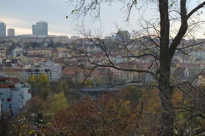 Non-touristy Prague - Cozy Neighborhoods - Private Tour - Grébovka adds vineyards to the route
