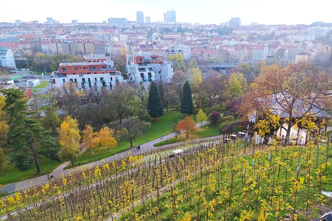 Non-touristy Prague - Cozy Neighborhoods - Private Tour - Karlovo náměstí and three small but meaningful squares