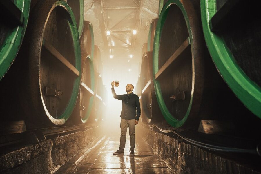 Pilsen: Pilsner Urquell Brewery Tour with Beer Tasting - The historic cellars and the unfiltered pour
