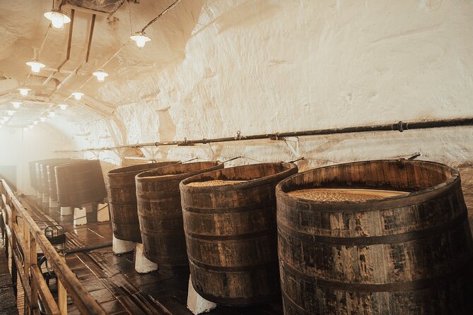 Pilsner Urquell Brewery Tour with Beer Tasting - What the tour teaches you about pilsner