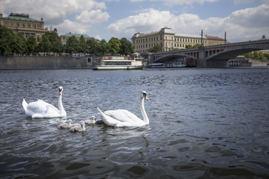Prague: 3–Hour Castle Grounds Walking Tour and River Cruise - Taking the Tram Up Castle Hill