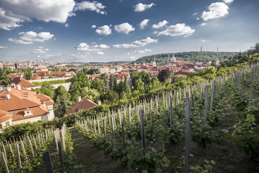 Prague: 3–Hour Castle Grounds Walking Tour and River Cruise - Cruising the Vltava and Devil’s Stream