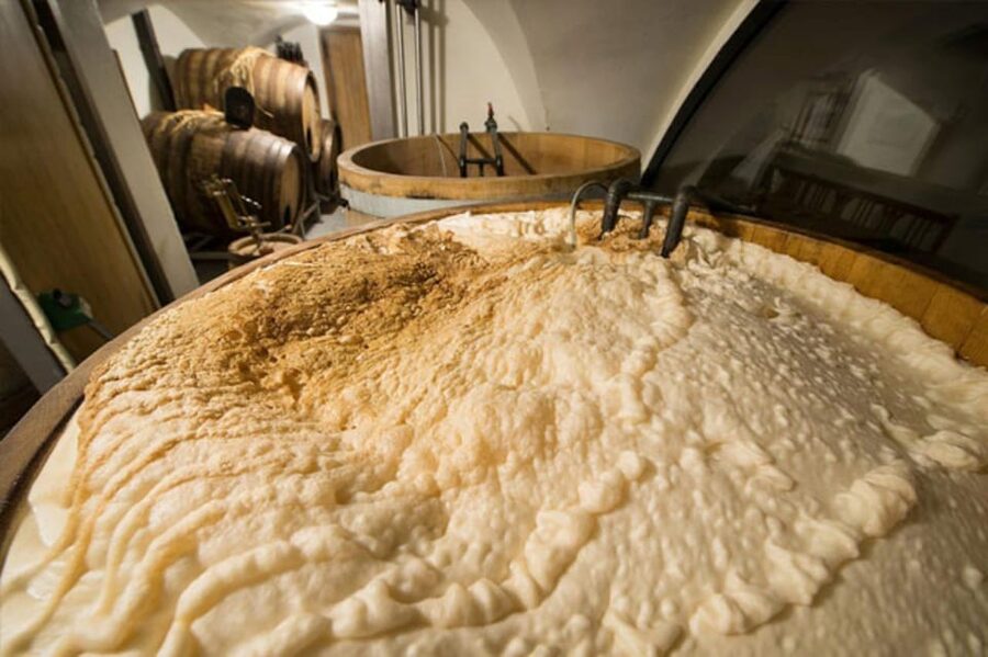 Prague: Beer Tasting and Brewery Tour - Is $41 a fair price?
