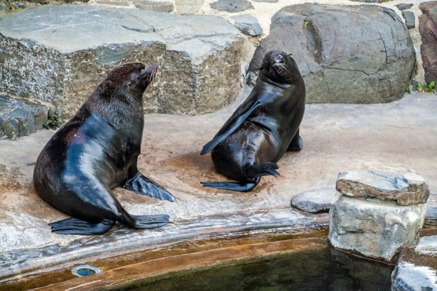 Prague: Boat Ride to the Zoo and Admission Ticket - Key points before you book