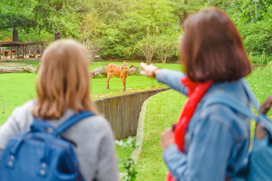 Prague: Boat Ride to the Zoo and Admission Ticket - How much value do you get for $74?
