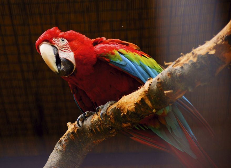 Prague: Boat Ride to the Zoo and Admission Ticket - Who will enjoy this day most