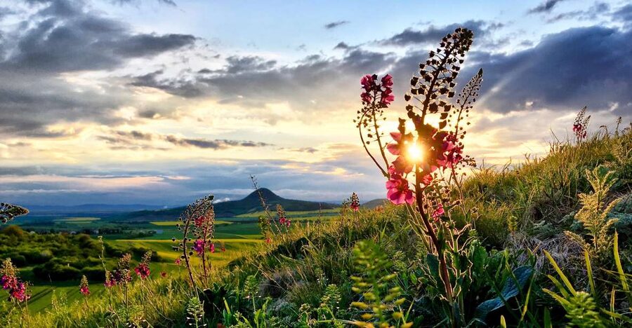 Prague: Bohemian Uplands Garnet Panning&Animal Farm 4WD Tour - What the guide and group size add