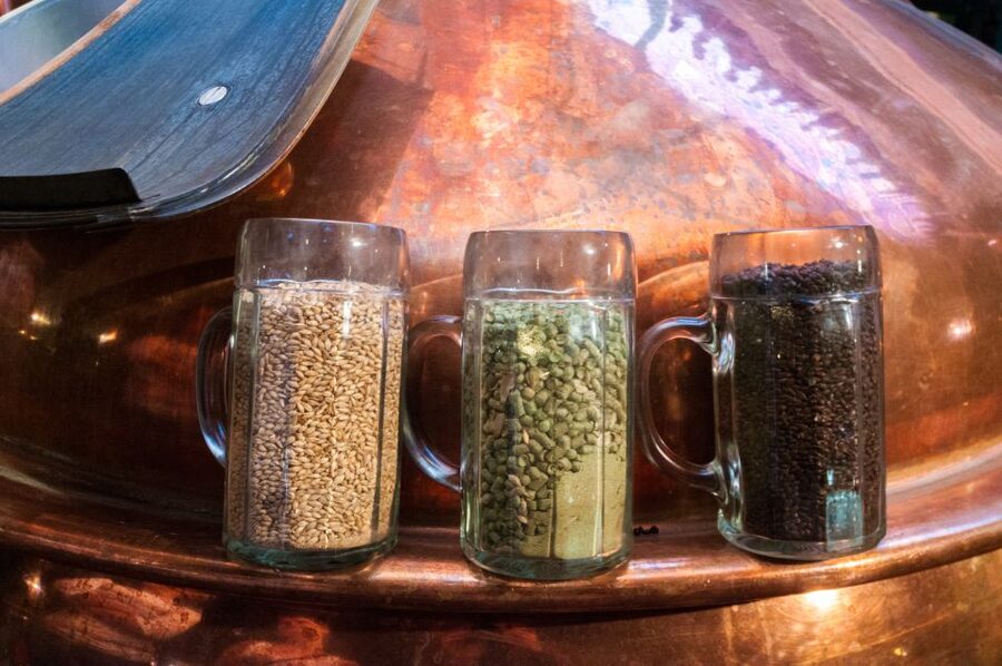 Prague: Brewery Tour with Unlimited Tastings - Group size, pace, and the social side