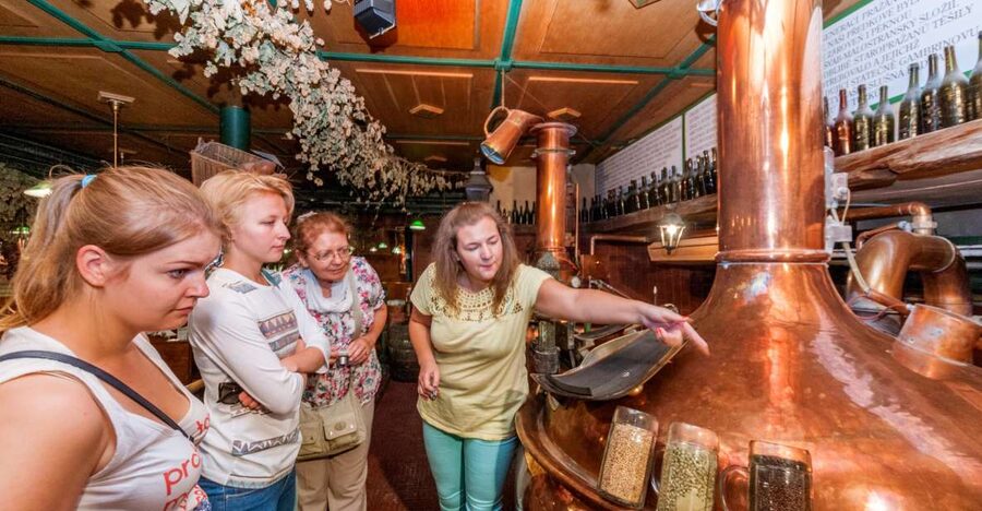Prague: Brewery Tour with Unlimited Tastings - What happens at the first two mini-breweries