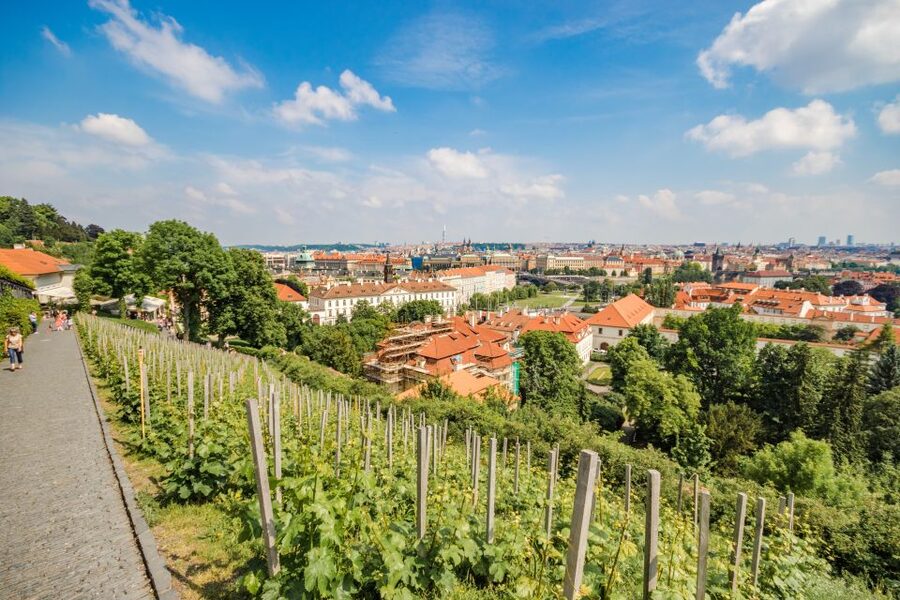 Prague Castle 2.5-Hour Tour Including Admission Ticket - Charles Bridge gives the tour its opening chapter