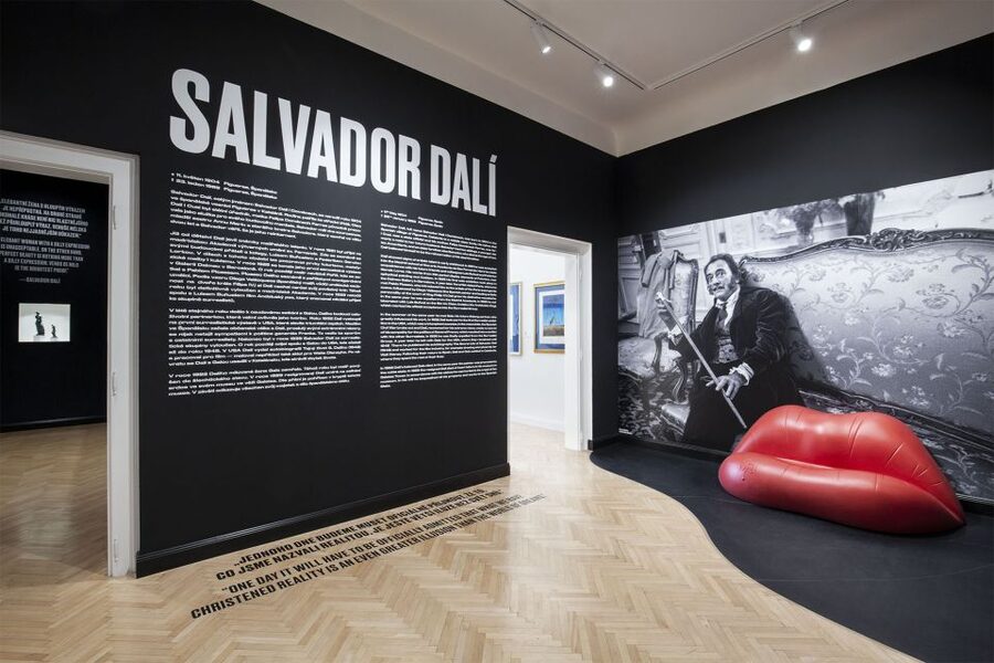 Prague: Central Gallery Ticket with Two Exhibitions - Starting with Salvador Dalí’s surrealist imagination