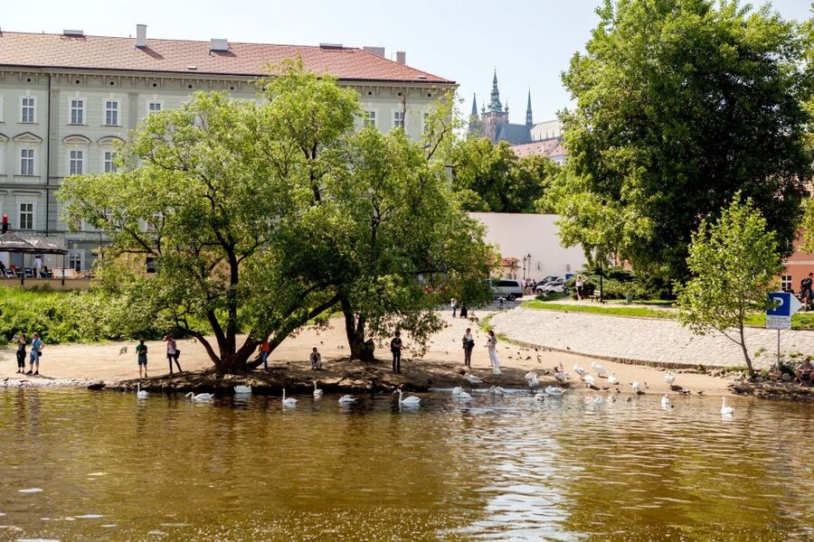 Prague Cruise: 1-Hour on the River Vltava - Is $17 good value for Prague?