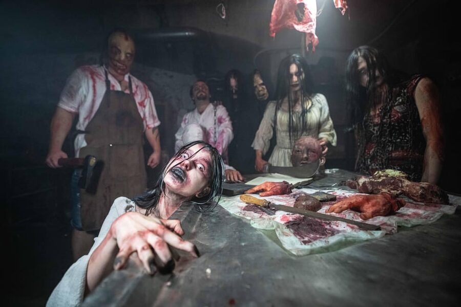 Prague Fear House: Best Haunting Experience in Prague - Is $23 a fair price for such a short scare?